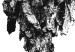 Wall Poster Tree Bark - black and white vertical composition on a solid white background 116613 additionalThumb 8
