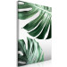 Canvas Art Print Monstera Leaves (1 Part) Vertical 117113 additionalThumb 2