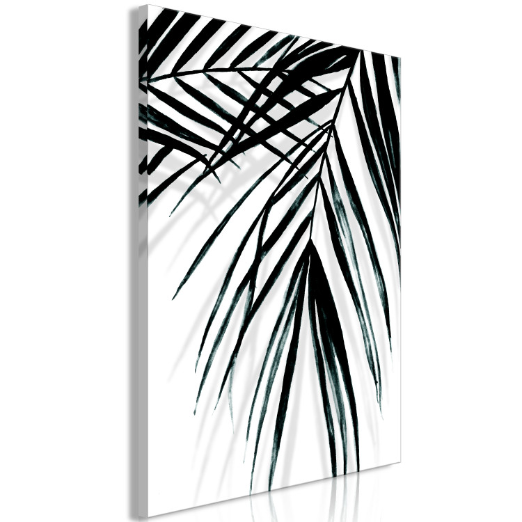 Canvas Art Print Relax under the palm - leaves of a tropical plant in a black and white minimalist style 119013 additionalImage 2