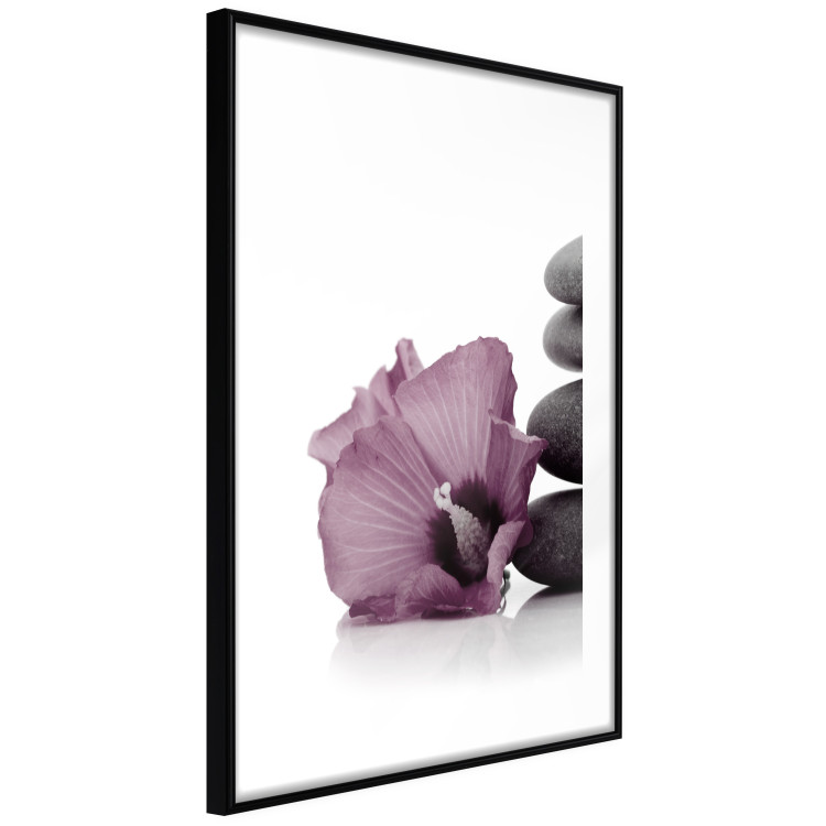 Wall Poster Stone Serenity - plant with pink flower and zen-style stones 123513 additionalImage 13