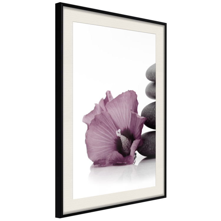 Wall Poster Stone Serenity - plant with pink flower and zen-style stones 123513 additionalImage 3