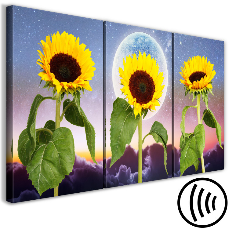 Canvas Art Print Sunflowers on clouds background - triptych with flowers, moon and sky 124413 additionalImage 6
