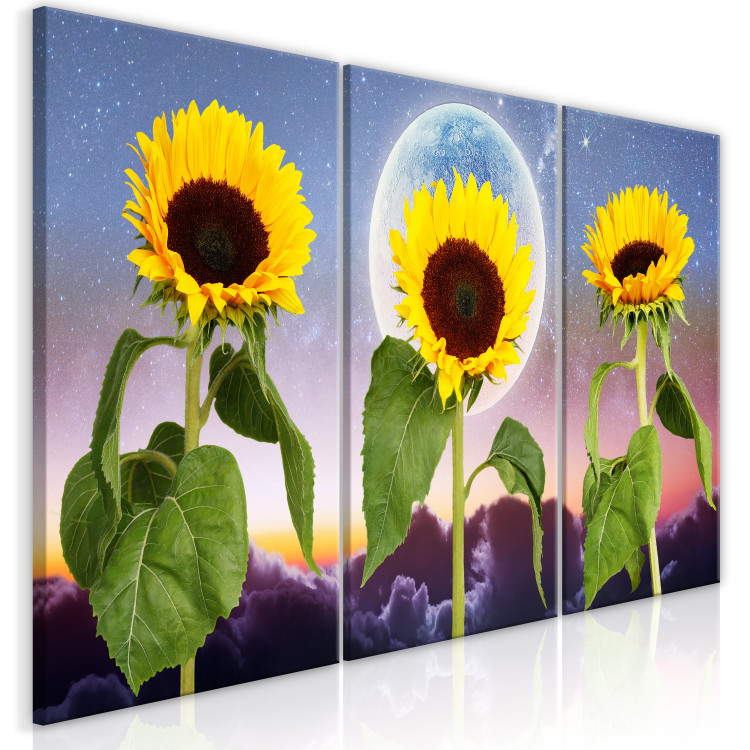 Canvas Art Print Sunflowers on clouds background - triptych with flowers, moon and sky 124413 additionalImage 2