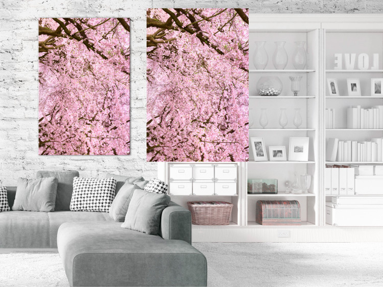 Poster Cherry Tree - spring composition of trees with light pink leaves 126213 additionalImage 17