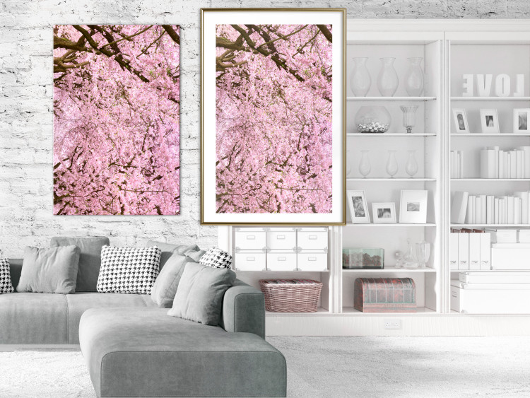Poster Cherry Tree - spring composition of trees with light pink leaves 126213 additionalImage 13