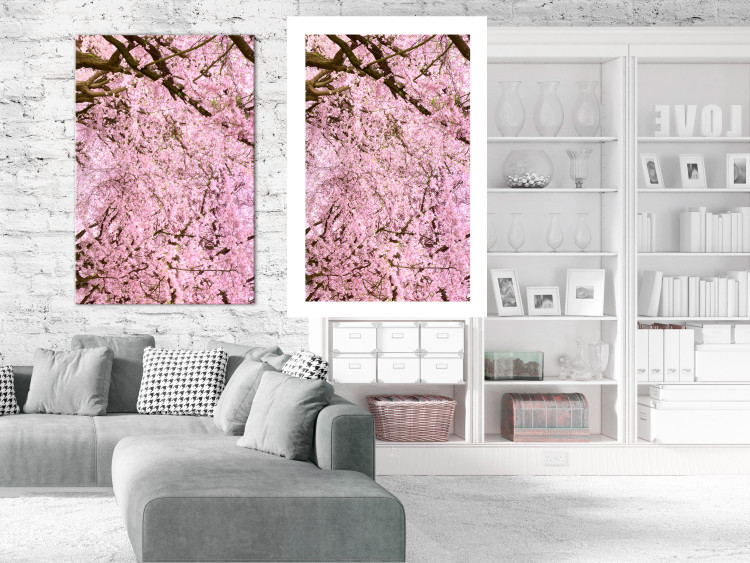 Poster Cherry Tree - spring composition of trees with light pink leaves 126213 additionalImage 2