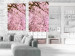 Poster Cherry Tree - spring composition of trees with light pink leaves 126213 additionalThumb 17