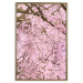Poster Cherry Tree - spring composition of trees with light pink leaves 126213 additionalThumb 16