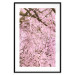 Poster Cherry Tree - spring composition of trees with light pink leaves 126213 additionalThumb 15