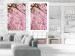Poster Cherry Tree - spring composition of trees with light pink leaves 126213 additionalThumb 2