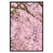 Poster Cherry Tree - spring composition of trees with light pink leaves 126213 additionalThumb 18
