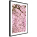 Poster Cherry Tree - spring composition of trees with light pink leaves 126213 additionalThumb 11