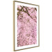 Poster Cherry Tree - spring composition of trees with light pink leaves 126213 additionalThumb 6