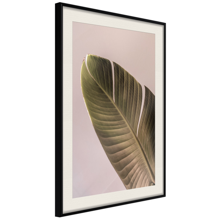 Wall Poster Banana Mood - tropical banana leaf on subtly pink background 129613 additionalImage 2