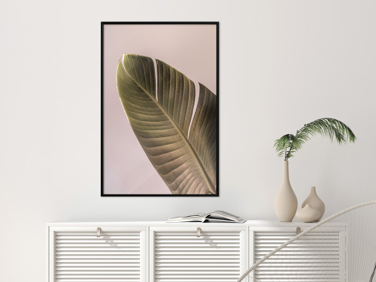 Wall Poster Banana Mood - tropical banana leaf on subtly pink background 129613 additionalImage 6