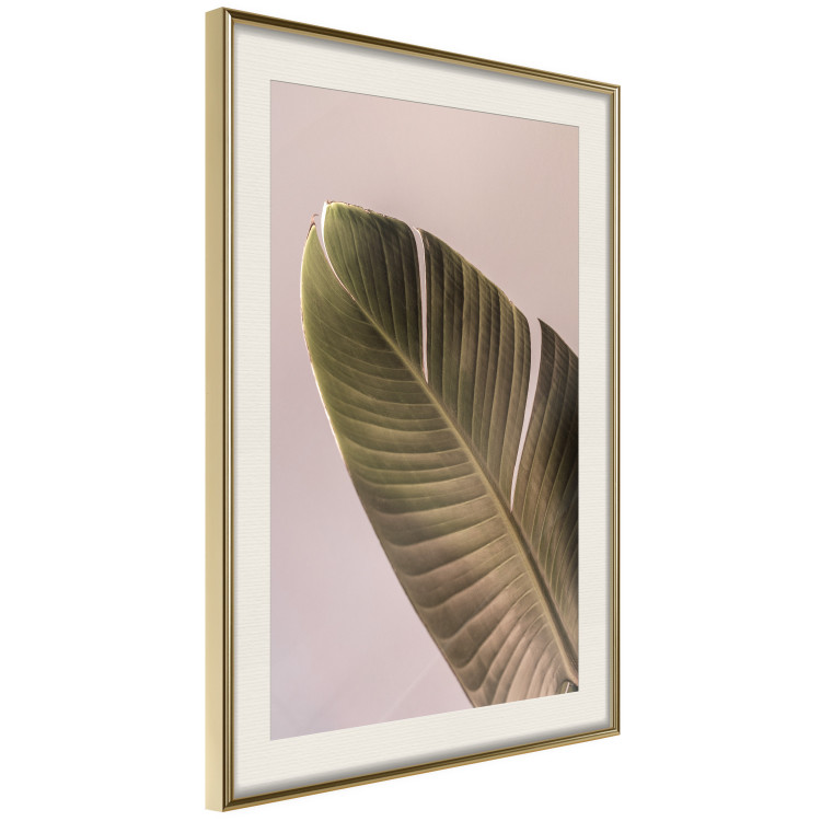 Wall Poster Banana Mood - tropical banana leaf on subtly pink background 129613 additionalImage 3