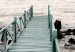 Poster Pier of Memories - wooden colorful pier against seascape 129713 additionalThumb 10