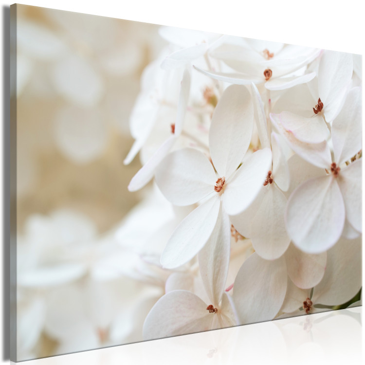 Canvas Snowy Hydrangea (1-piece) Wide - four-leaved white flowers 129813 additionalImage 2