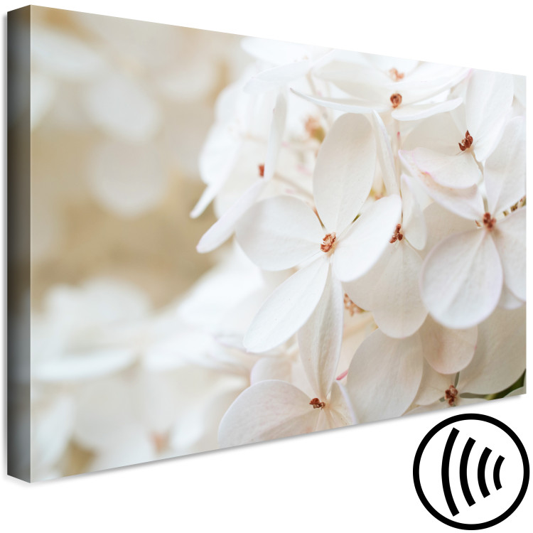 Canvas Snowy Hydrangea (1-piece) Wide - four-leaved white flowers 129813 additionalImage 6