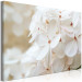 Canvas Snowy Hydrangea (1-piece) Wide - four-leaved white flowers 129813 additionalThumb 2