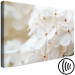 Canvas Snowy Hydrangea (1-piece) Wide - four-leaved white flowers 129813 additionalThumb 6