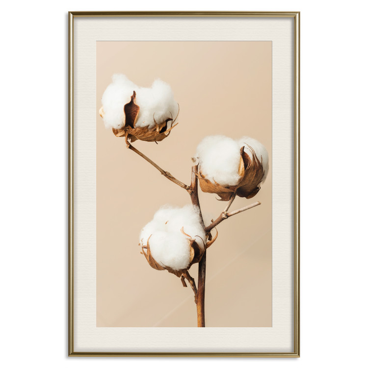 Wall Poster Soft Saturation - plant with cotton flower on a light uniform background 130513 additionalImage 20