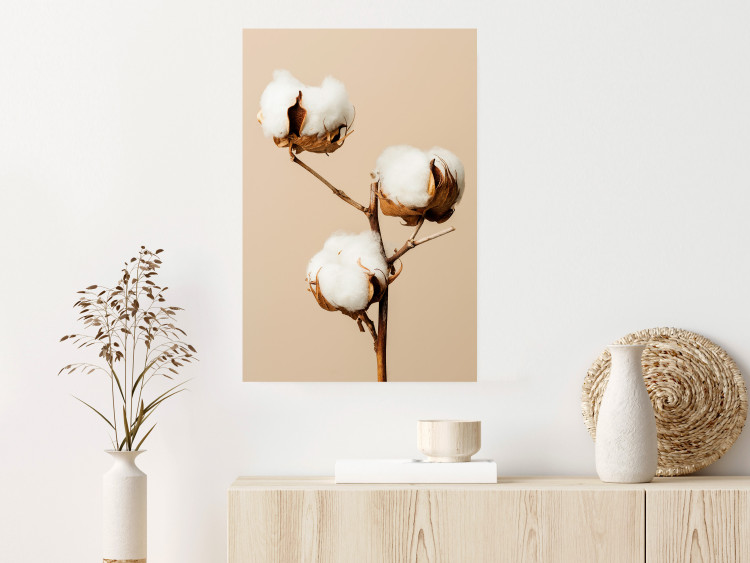 Wall Poster Soft Saturation - plant with cotton flower on a light uniform background 130513 additionalImage 3
