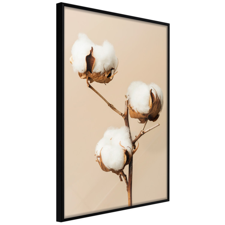Wall Poster Soft Saturation - plant with cotton flower on a light uniform background 130513 additionalImage 11