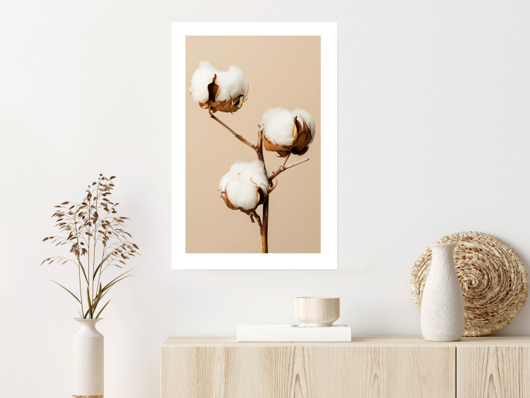 Wall Poster Soft Saturation - plant with cotton flower on a light uniform background 130513 additionalImage 6