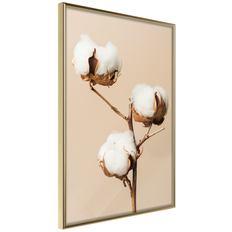 Wall Poster Soft Saturation - plant with cotton flower on a light uniform background 130513 additionalImage 14