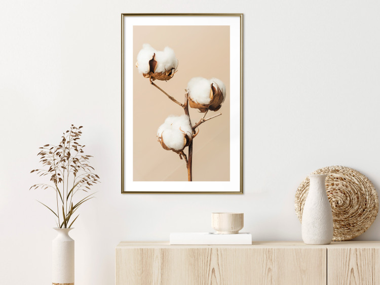 Wall Poster Soft Saturation - plant with cotton flower on a light uniform background 130513 additionalImage 23