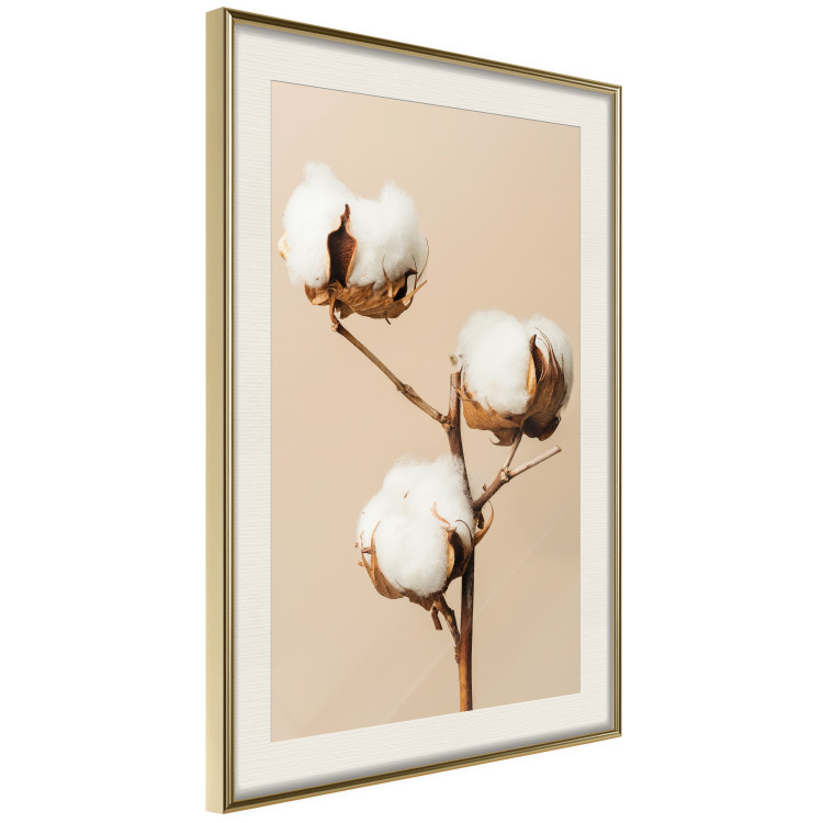 Wall Poster Soft Saturation - plant with cotton flower on a light uniform background 130513 additionalImage 2