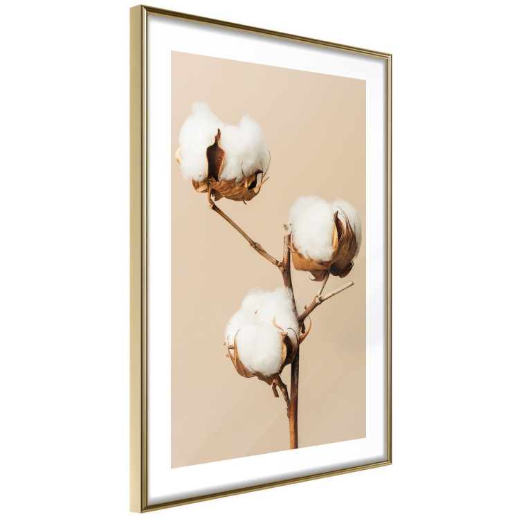 Wall Poster Soft Saturation - plant with cotton flower on a light uniform background 130513 additionalImage 9