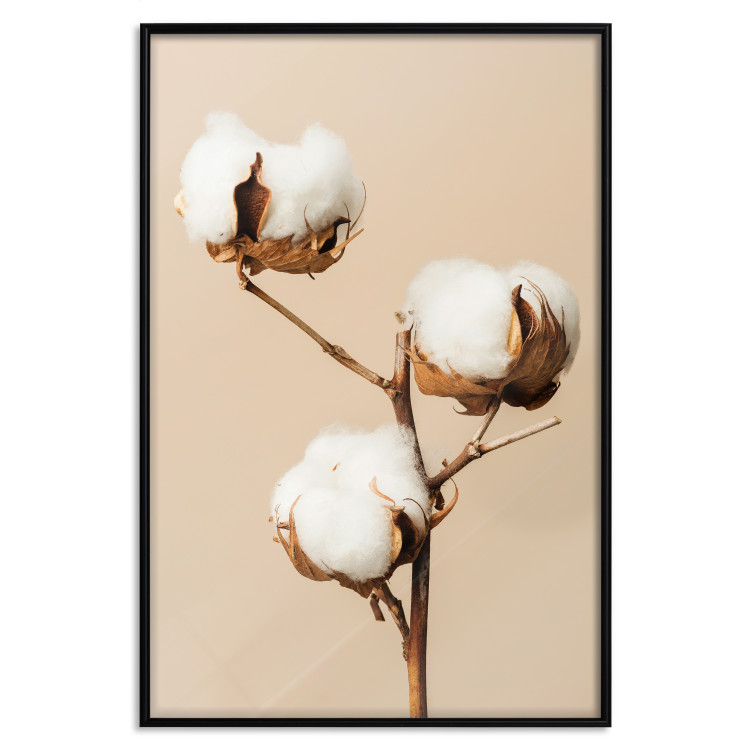 Wall Poster Soft Saturation - plant with cotton flower on a light uniform background 130513 additionalImage 16