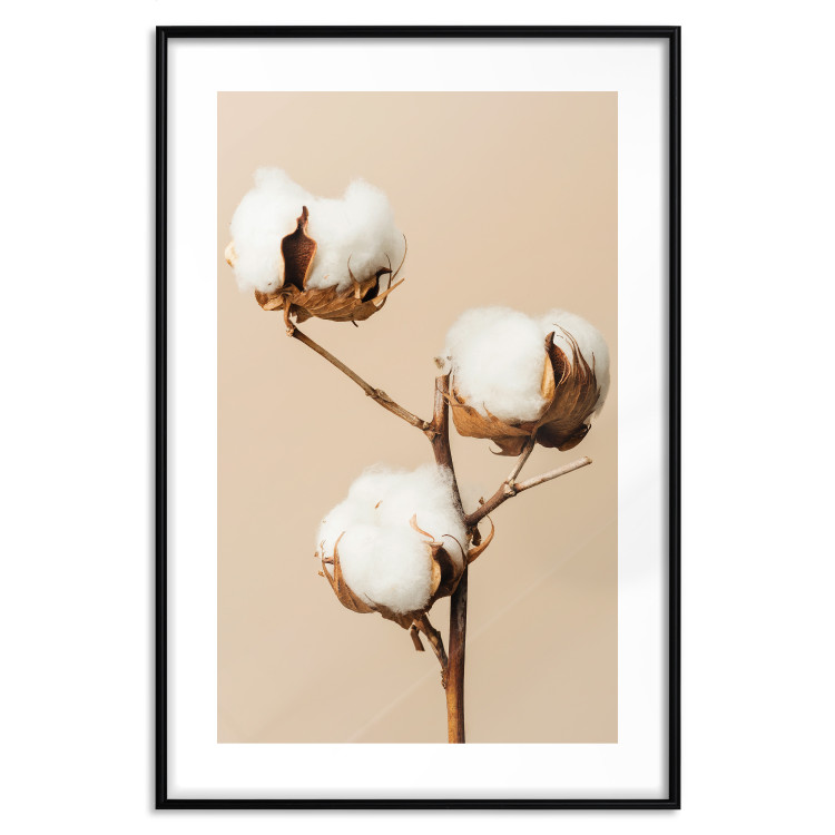 Wall Poster Soft Saturation - plant with cotton flower on a light uniform background 130513 additionalImage 18