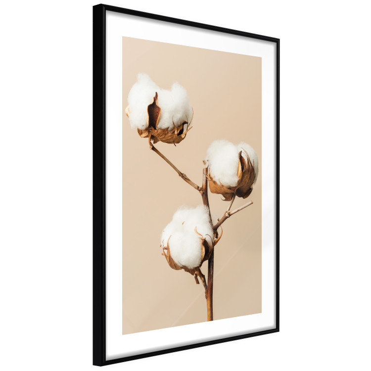 Wall Poster Soft Saturation - plant with cotton flower on a light uniform background 130513 additionalImage 2