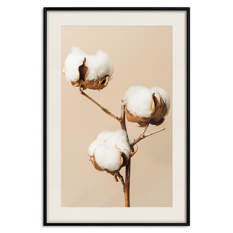 Wall Poster Soft Saturation - plant with cotton flower on a light uniform background 130513 additionalImage 19