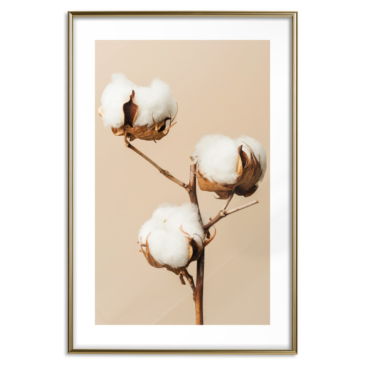 Wall Poster Soft Saturation - plant with cotton flower on a light uniform background 130513 additionalImage 15