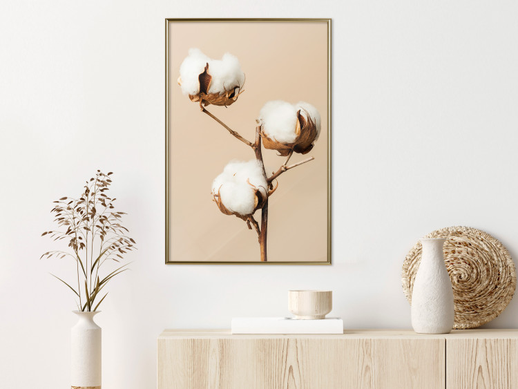 Wall Poster Soft Saturation - plant with cotton flower on a light uniform background 130513 additionalImage 7