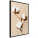 Wall Poster Soft Saturation - plant with cotton flower on a light uniform background 130513 additionalThumb 11