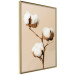 Wall Poster Soft Saturation - plant with cotton flower on a light uniform background 130513 additionalThumb 14