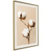 Wall Poster Soft Saturation - plant with cotton flower on a light uniform background 130513 additionalThumb 2