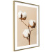 Wall Poster Soft Saturation - plant with cotton flower on a light uniform background 130513 additionalThumb 7