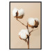Wall Poster Soft Saturation - plant with cotton flower on a light uniform background 130513 additionalThumb 14