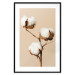 Wall Poster Soft Saturation - plant with cotton flower on a light uniform background 130513 additionalThumb 18