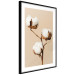 Wall Poster Soft Saturation - plant with cotton flower on a light uniform background 130513 additionalThumb 2