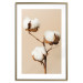 Wall Poster Soft Saturation - plant with cotton flower on a light uniform background 130513 additionalThumb 15