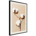 Wall Poster Soft Saturation - plant with cotton flower on a light uniform background 130513 additionalThumb 3