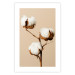 Wall Poster Soft Saturation - plant with cotton flower on a light uniform background 130513 additionalThumb 21