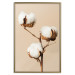 Wall Poster Soft Saturation - plant with cotton flower on a light uniform background 130513 additionalThumb 17
